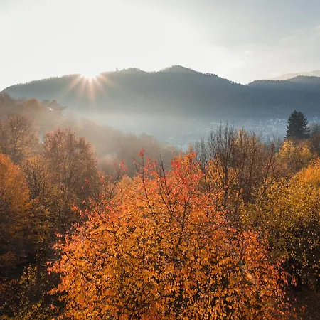 Pensiunea Warthe Casa de hóspedes 3*