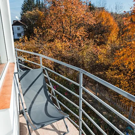 Pensiunea Warthe 布拉索夫