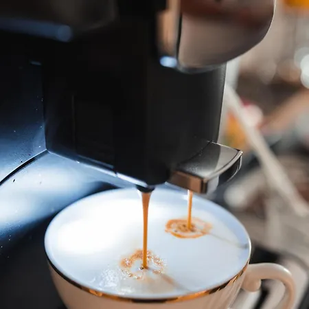 Pensiunea Warthe 3* 布拉索夫