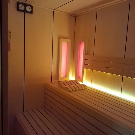 Pensiunea Warthe 招待所 布拉索夫