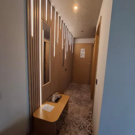 Pensiunea Warthe 招待所 3*