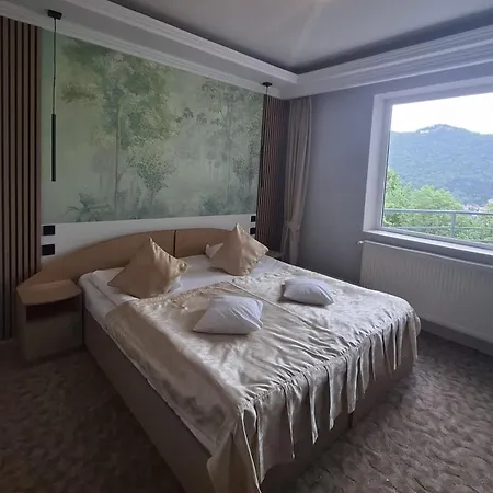 Pensiunea Warthe 3* Brașov