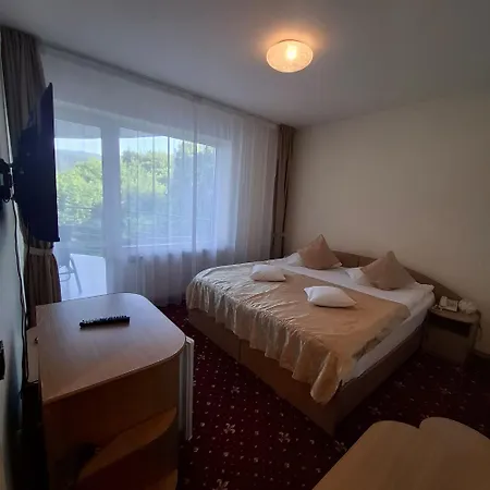 Pensiunea Warthe Guest house