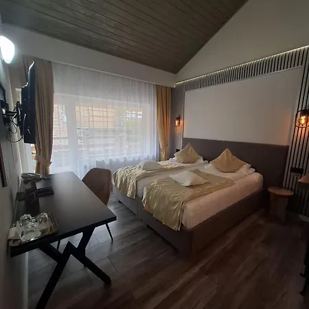 Pensiunea Warthe 3*