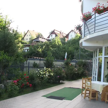 بيت ضيافة Pensiunea Warthe 3*