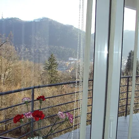 Guest house Pensiunea Warthe