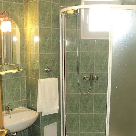 Guest house Pensiunea Warthe 3*