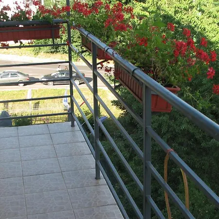 Pensiunea Warthe 3*