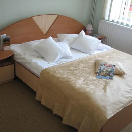 Guest house Pensiunea Warthe Brasov