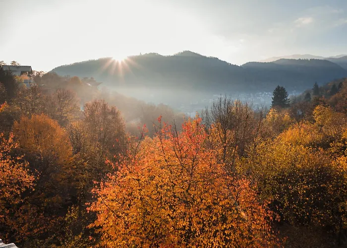 Pensiunea Warthe Gæstehus 3*