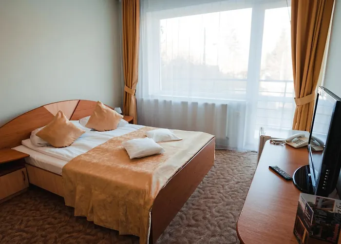 Pensiunea Warthe 3* Braşov