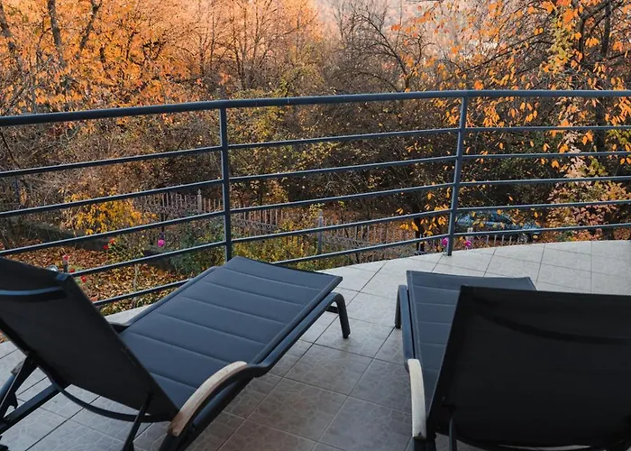 Pensiunea Warthe Guest house Brasov