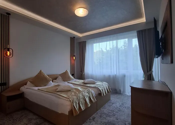 Guest house Pensiunea Warthe Brasov