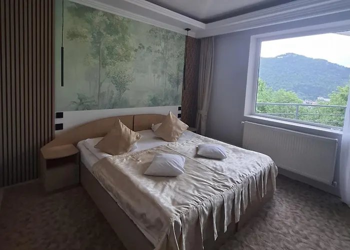 Pensiunea Warthe 3* Brasov