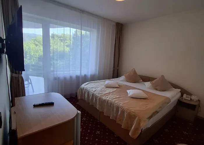 Pensiunea Warthe Guest house