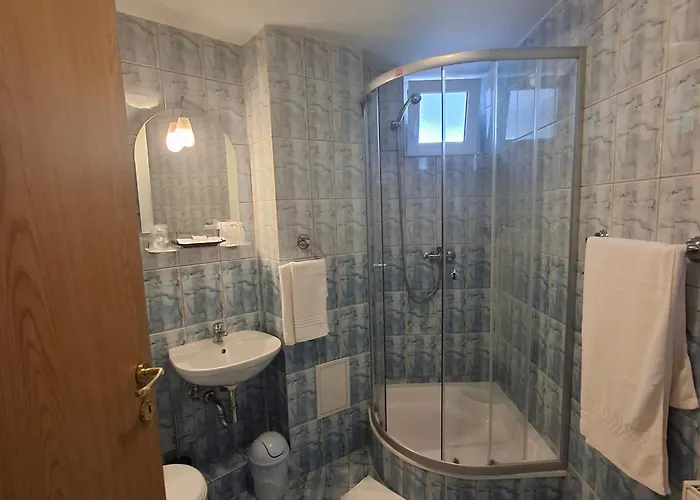 Guest house Pensiunea Warthe