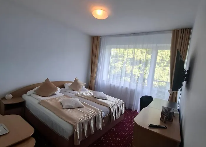 Pensiunea Warthe Guest house 3*