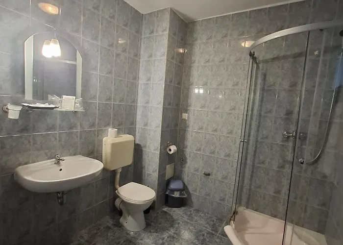 Guest house Pensiunea Warthe 3*