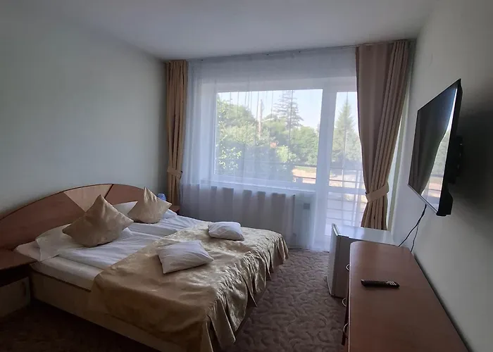 Pensiunea Warthe Brasov