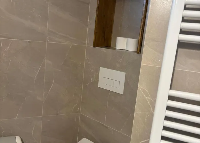 Pensiunea Warthe Guest house