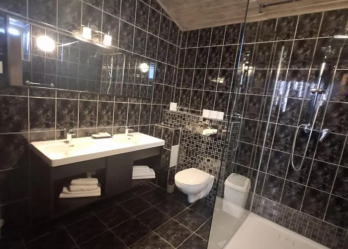 Guest house Pensiunea Warthe