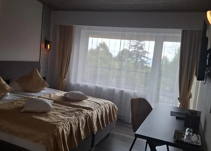 Guest house Pensiunea Warthe Brasov